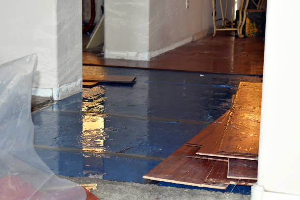 Professional Structural Drying And Dehumidification technician working in Henderson, IA